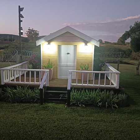 Little Tree Loft 2 Acomodação com café da manhã Uitenhage Exterior foto